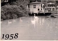 1  1958 Zum Bootssteg  2 Waldrand vorher. Position - Kopie